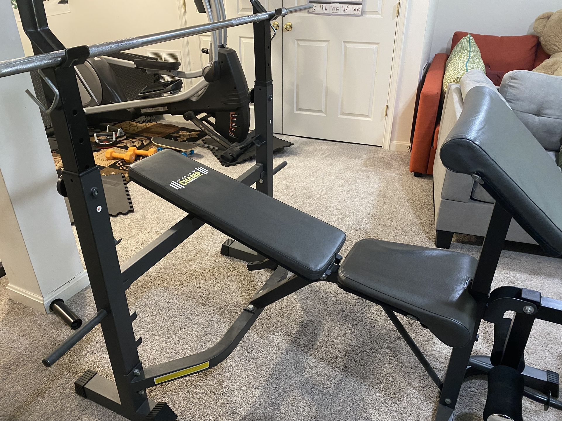Weight Bench  - $50 and Gold Gym Dumbbells-$50