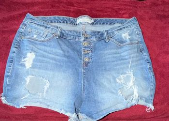Size 20 Torrid distressed Jean shorts