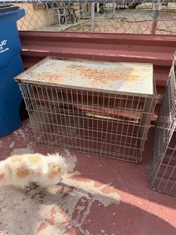 Small dog kennel
