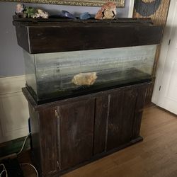 Fish Tank And Stand 50 Gallon