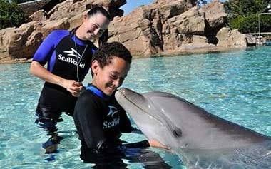 Seaworld **" Tickets