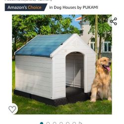 Outdoor Dog House