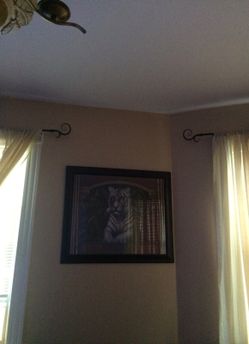 Framed White tiger picture