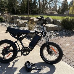 Ridstar Q20 48v 20a 34mph