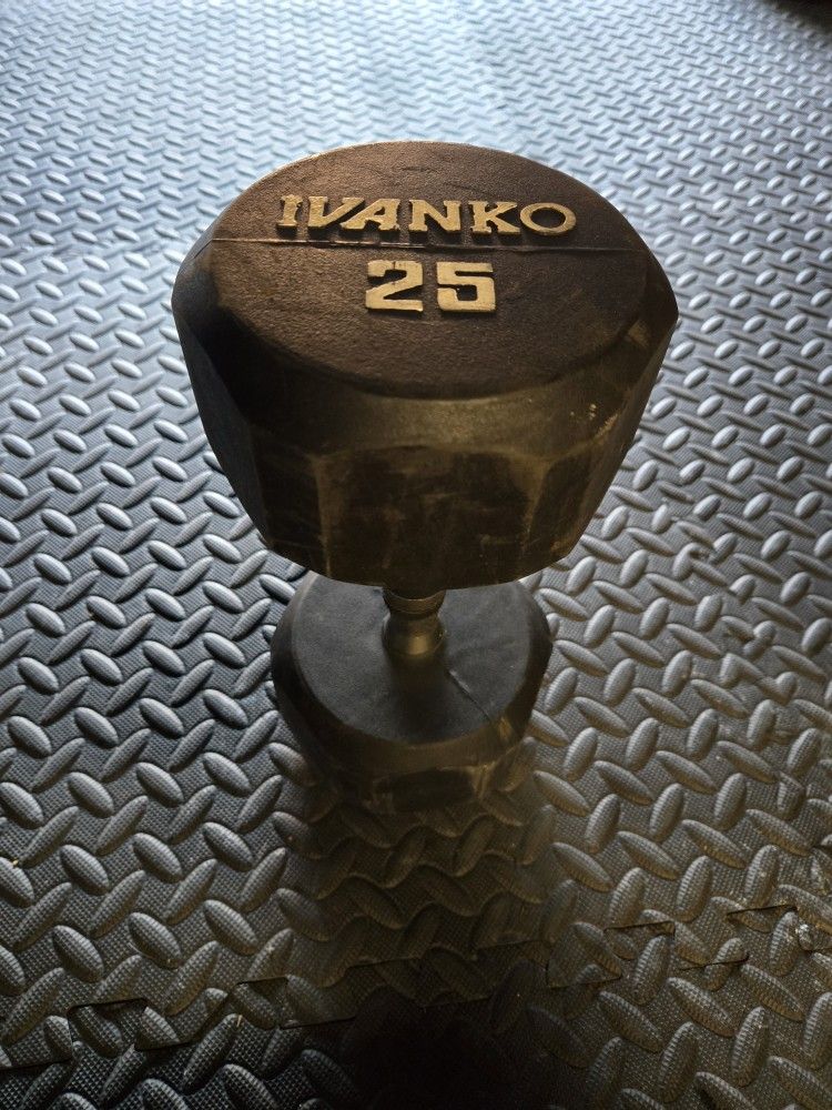 25lb Dumbell Single