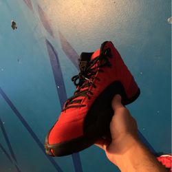 Jordan 12
