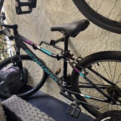 Schwinn High Timber Mountain Bike