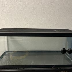 Lizard or fish tank