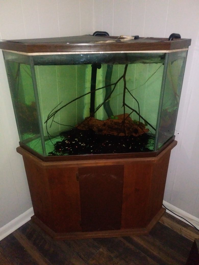 Aquarium. Fish tank ,stand,two filters and decorations.