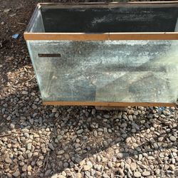 29 Gallon Fish Tank