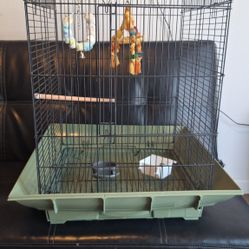 🐦 Bird Cage