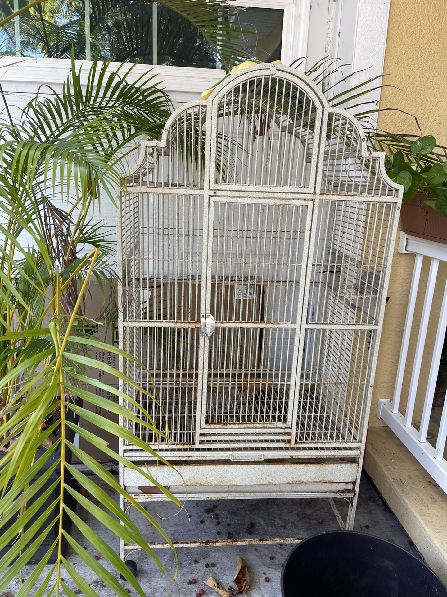 Big Bird Cage