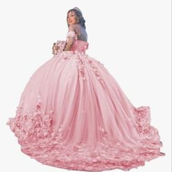 Blushing Rose Quinceañera Ball Gown with 3D Floral Appliqués