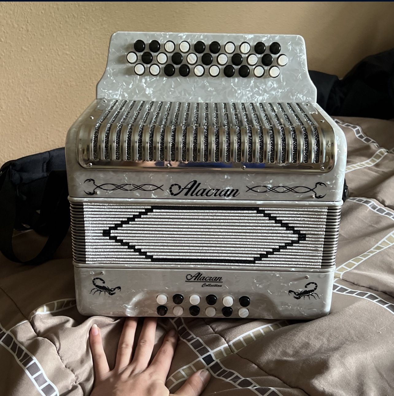 Accordion 