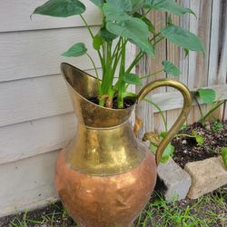 Plant With Vase