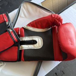 Brand New Everlast Pro Style Boxing Gloves 