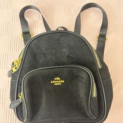 Black Velvet Backpack 