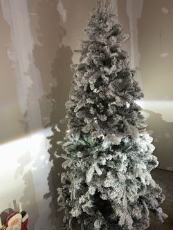 Christmas Tree and Decor