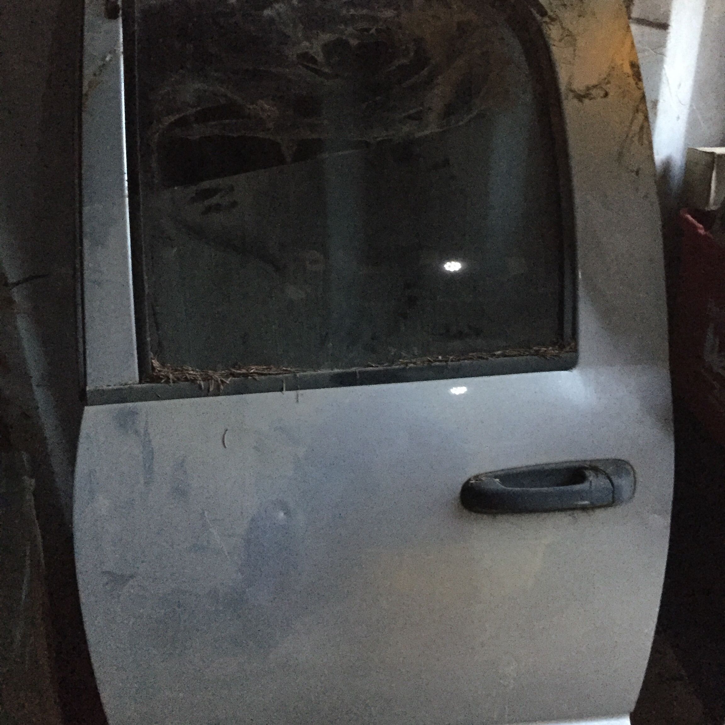 Dodge Driver Rear Door
