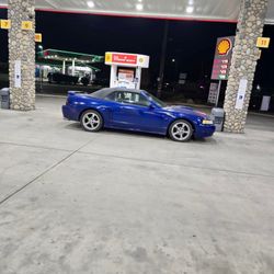 2003 GT Convertible Mustang 