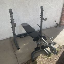 Adjustable Weight Bench and Squat Rack
