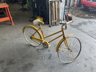 Bike Murray