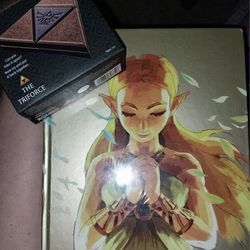 Zelda Book And Brain Teaser