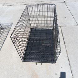 Dog 🐈‍⬛ Large Crate 
