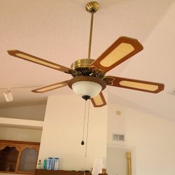 Ceiling Fans