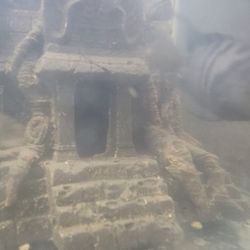 Convict Cichlid Tank Deccor. 6 0ieces