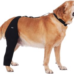 Dog Recovery Sleeve Back Leg Breathable Material Small, Single Leg- Comfortable