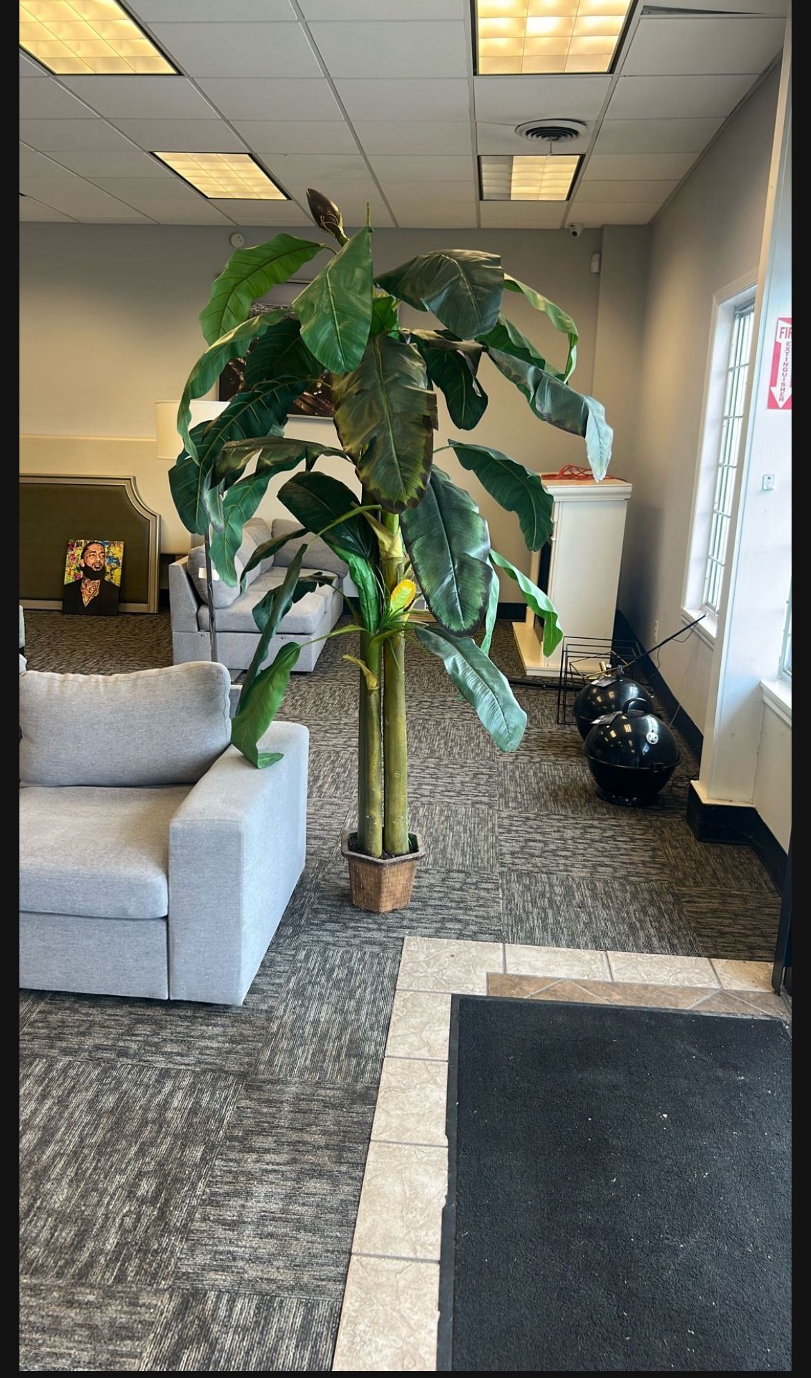 Tall Life Like Corner Plant