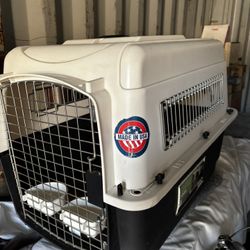 Dog Kennel