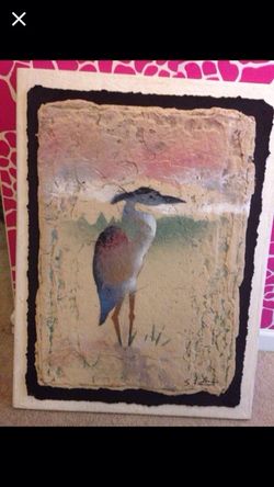 $25 bird pic