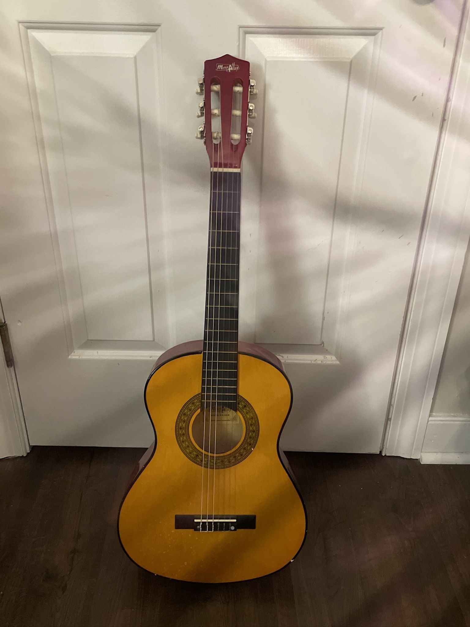 Steal-String Acoustic Guitar