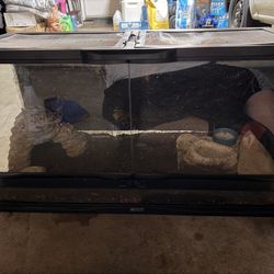 Reptile Tank 