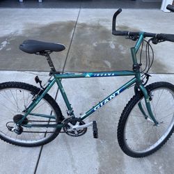 Giant Hybrid Mountain Bike 