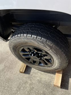 Trail Boss Stocks 8x180 Rims And Tires