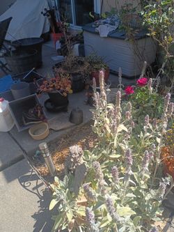 Moving must downsize