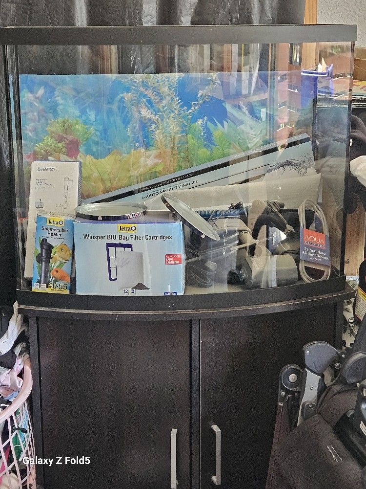 Fish Tank