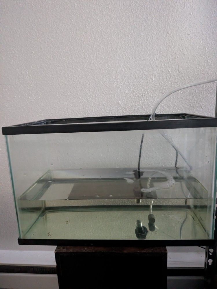 Fish Tank