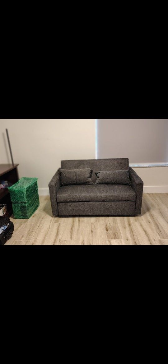 Sleeper Sofa (Brand new)
