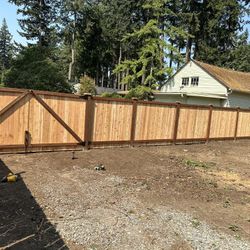Cedar Fence
