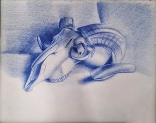 Goat Skull Artwork