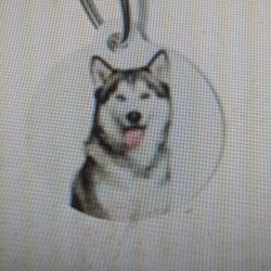 Pet ID Tag