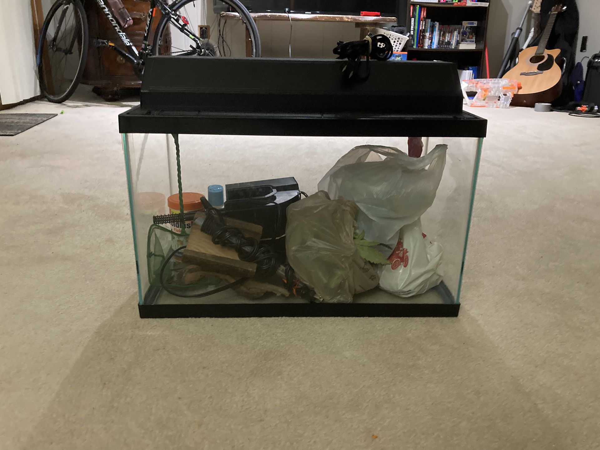Aquarium Setup 