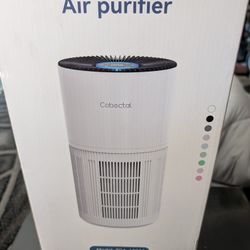 Air Purifier 