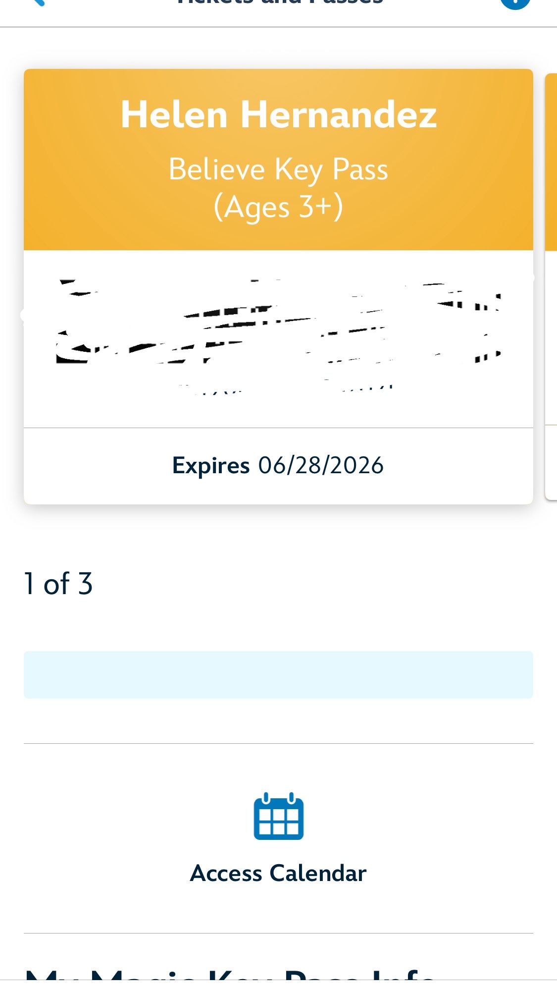 Disney pass