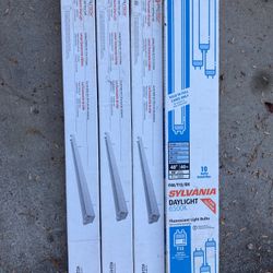 Fluorescent Shop Lights