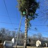 Alberto Landscaping Llc